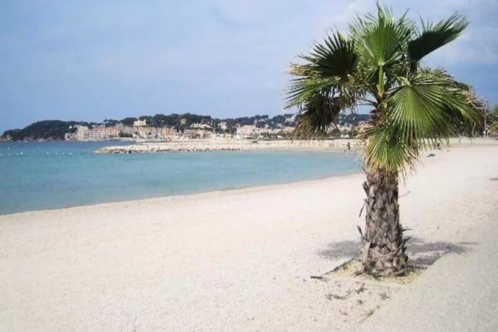 Résidence Les Terrasses Du Brusc-Image-tags.