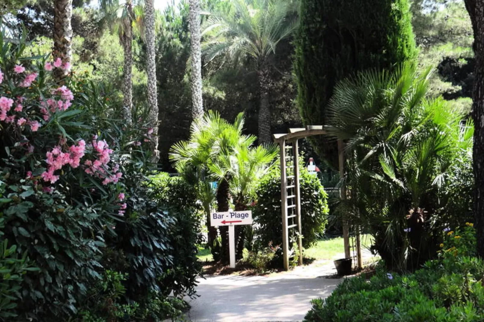 Résidence La Pinède - maeva Home-Extérieur été