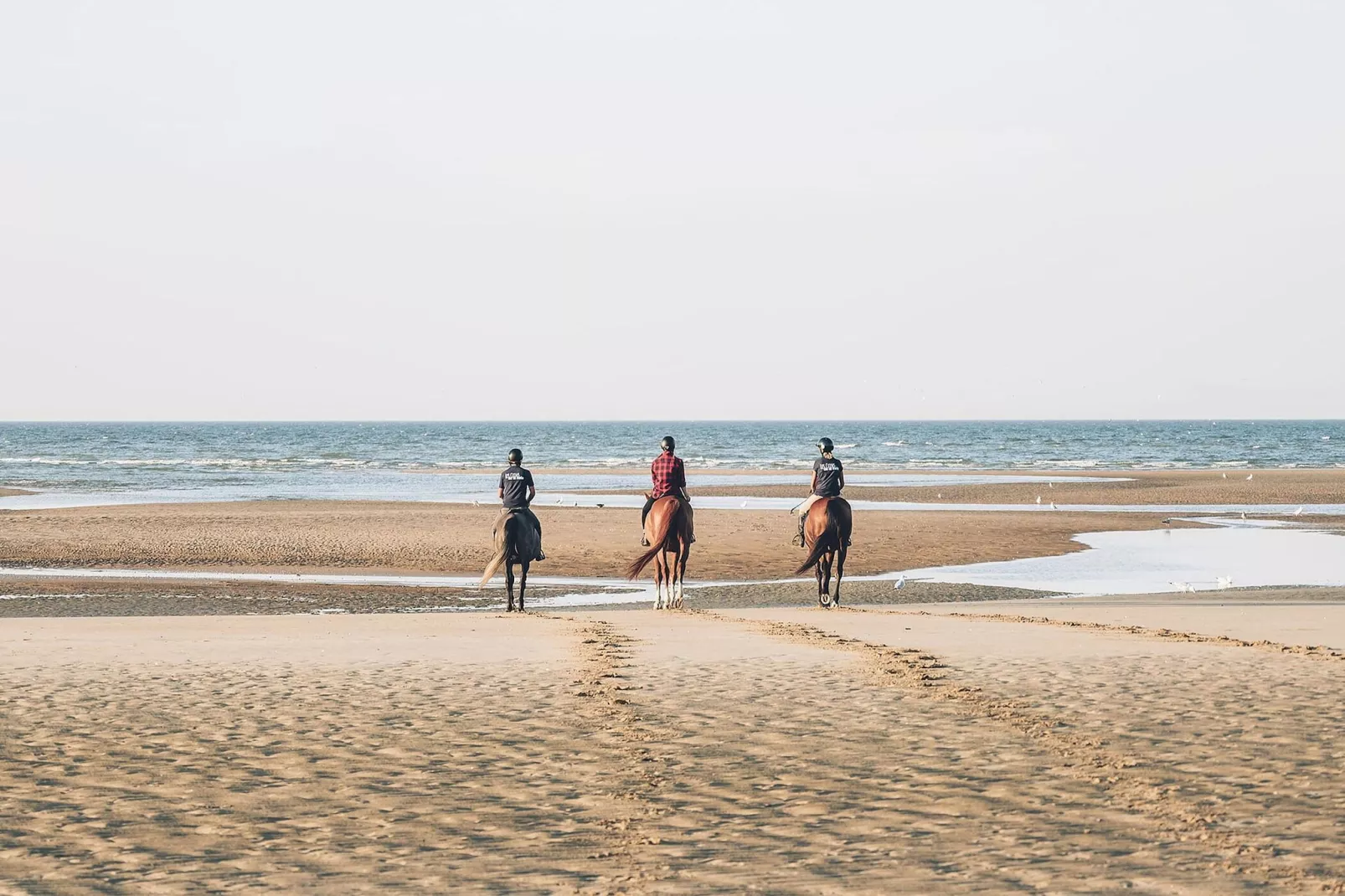 Résidence Le Héron-Areas within 5km in summer