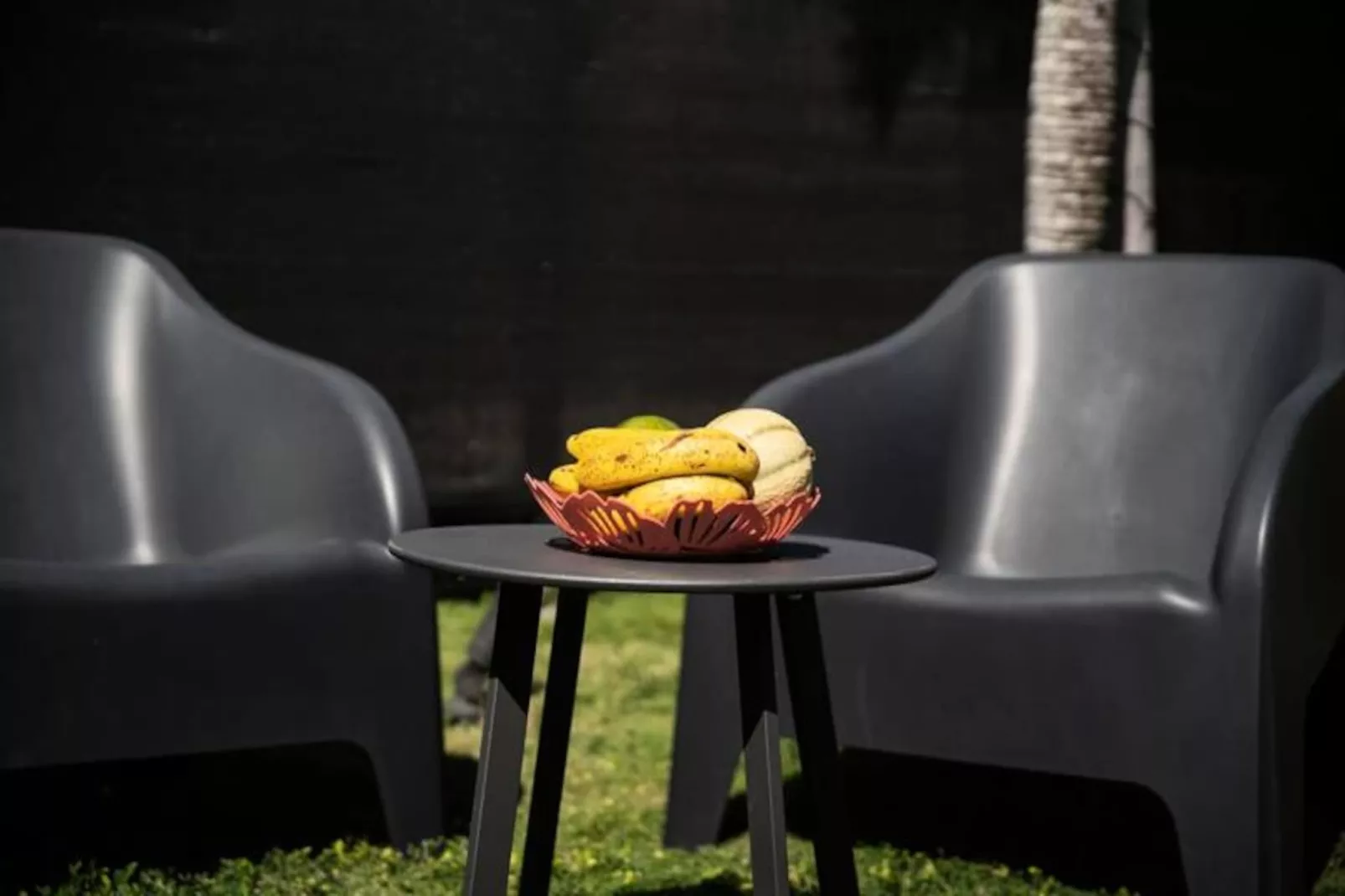 Bungalow Monarque-Image-tags.