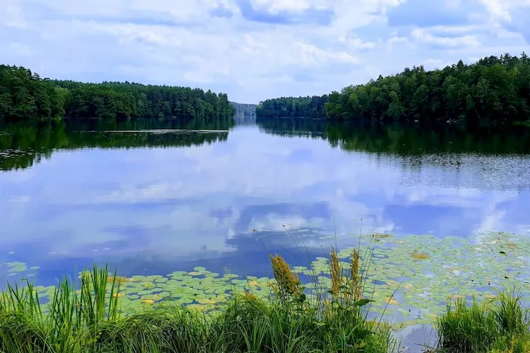 Dom wakacyjny w Krzyni dla max 7 osób-Areas within 1km in summer