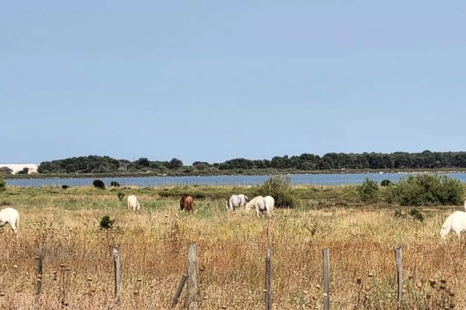 Résidence Marina Lairan Vue Sur L'eau Et Les Bateaux De Port Camargue 2 &eacute;toiles F-Image-tags.