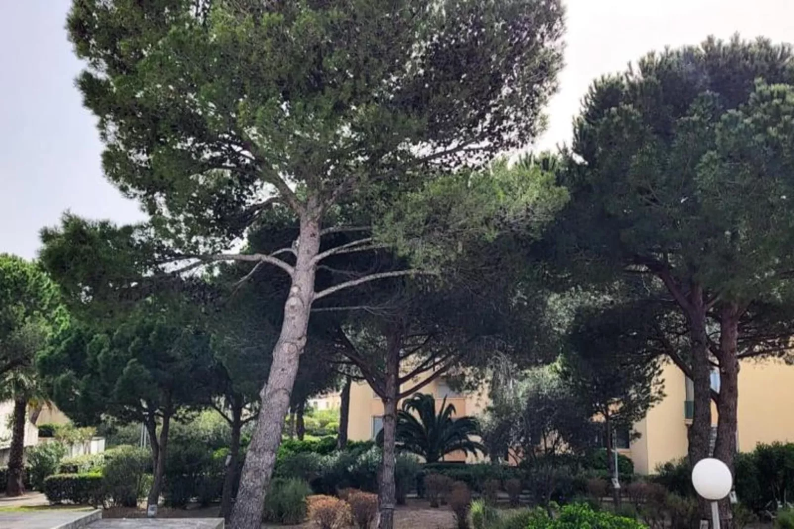 Résidence La Cigale De Mer &agrave; 100 M De La Plage Et Du Centre Ville Du Grau Du Roi-Aussicht Sommer