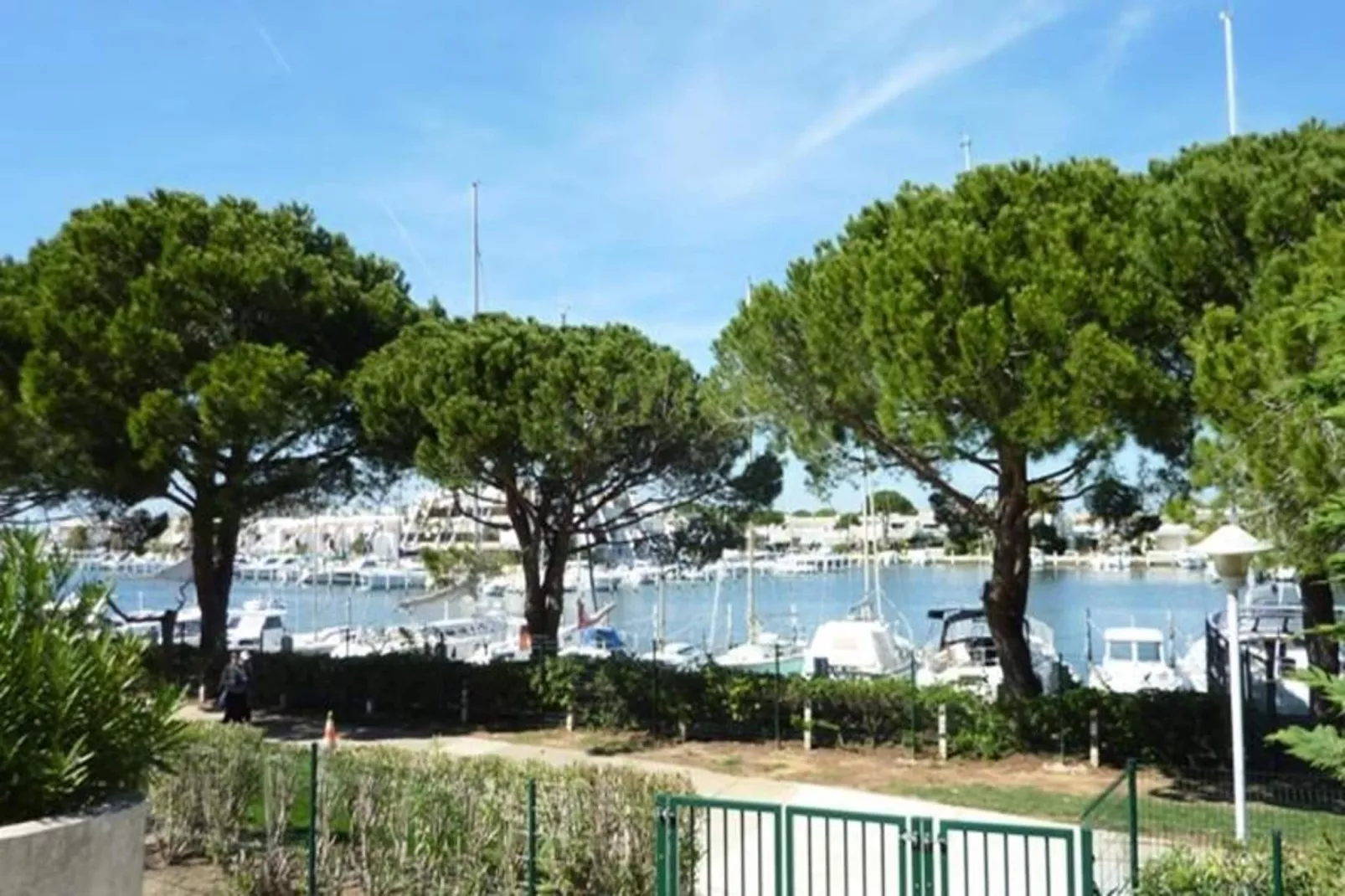 Résidence "le Quai Aux Fleurs"-Areas within 1km in summer