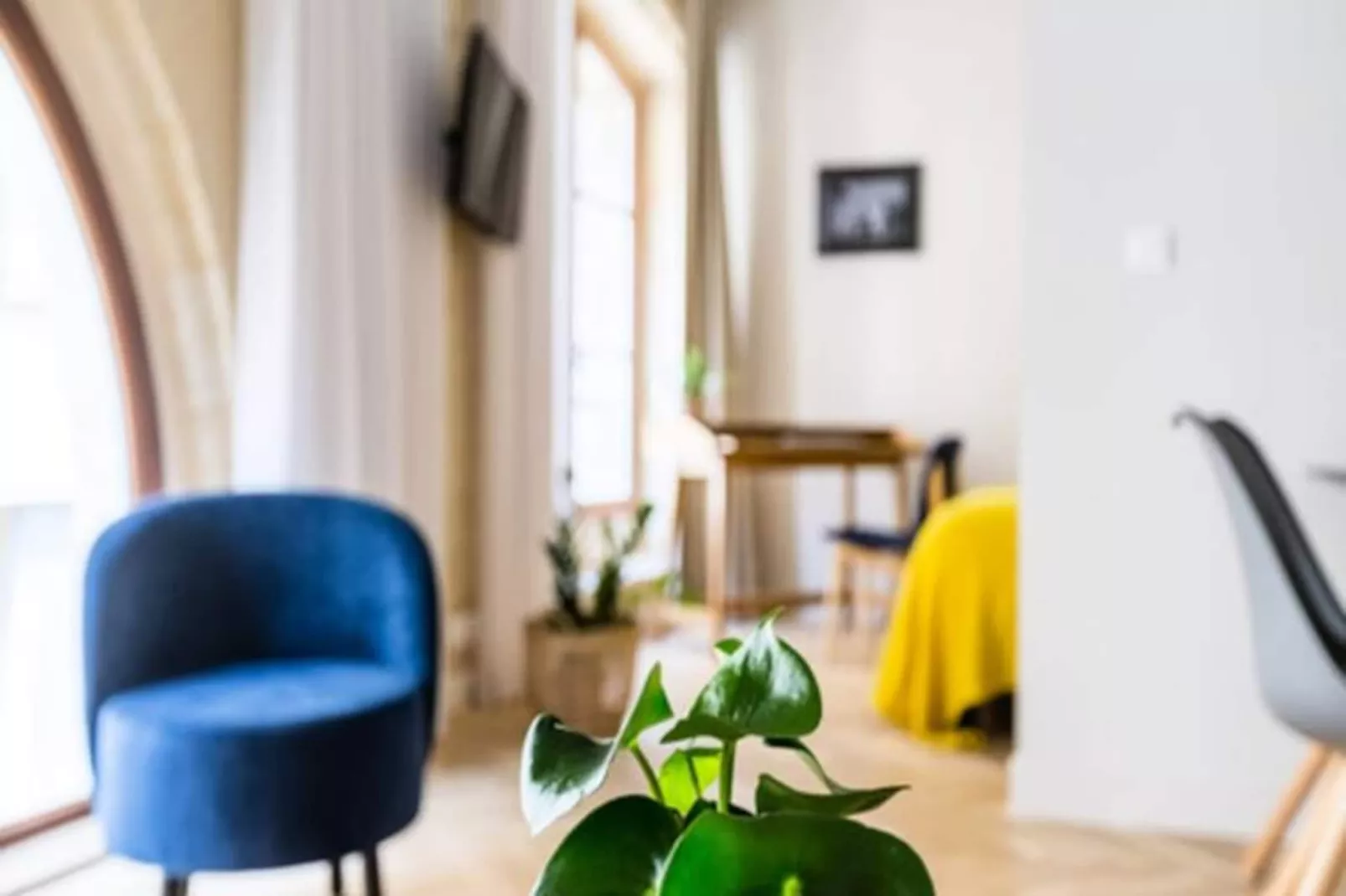 Appartement &agrave; La Belle Pierre Et Lumineux Pour 4 Situ&eacute; Dans L'hypercentre-Image-tags.