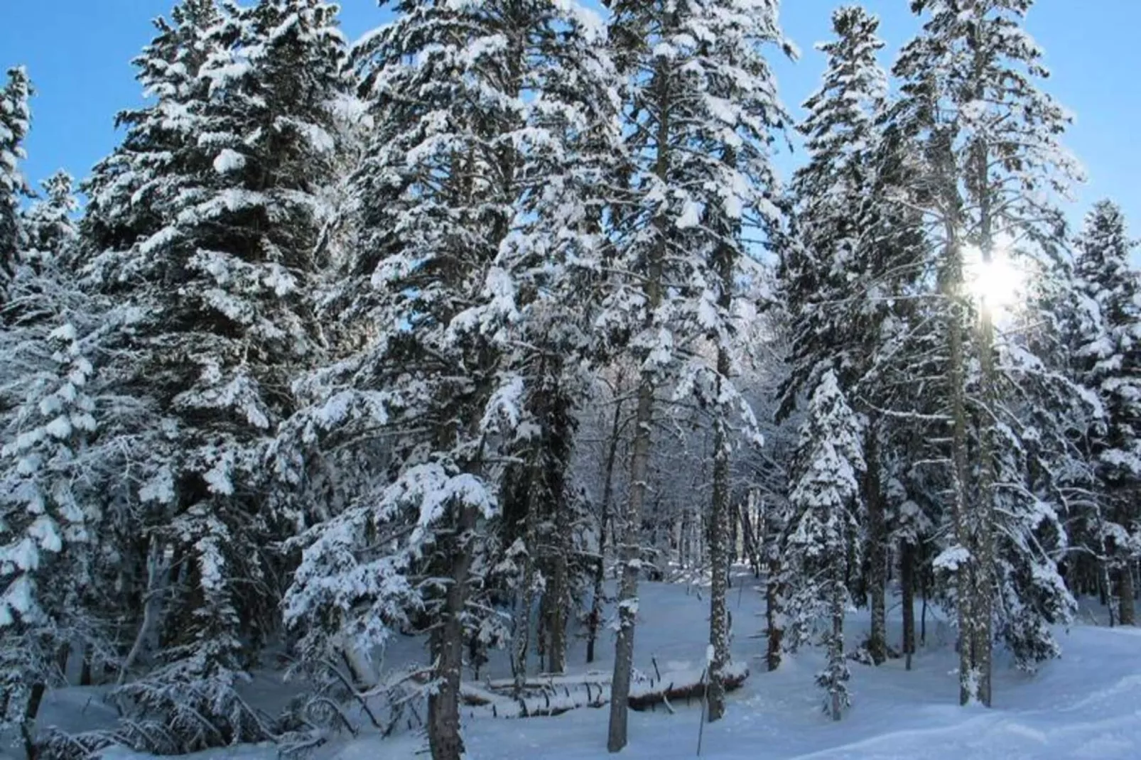 Résidence Casino-Gebiet Winter 20 km
