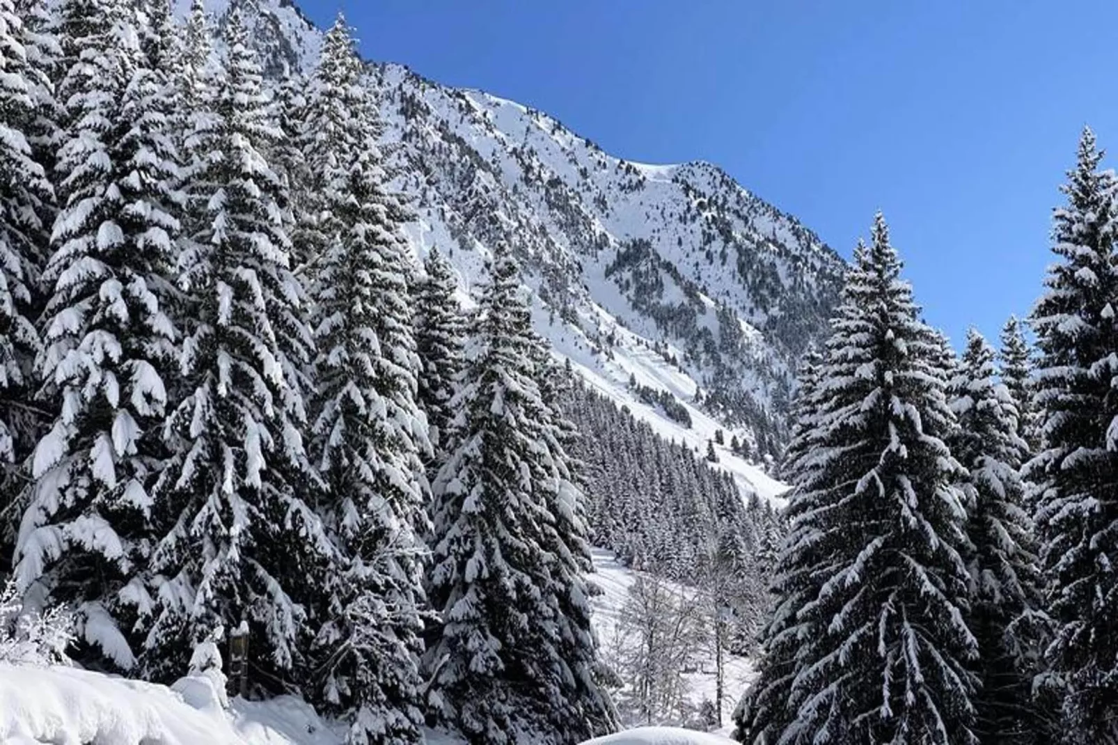 Résidence Ayre-Area within 5km in winter