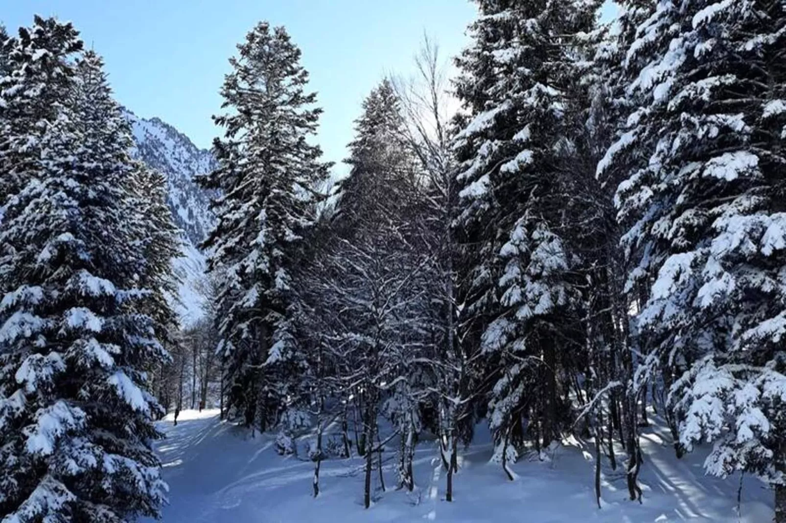 Résidence Ayre-Gebiete Sommer 5 km