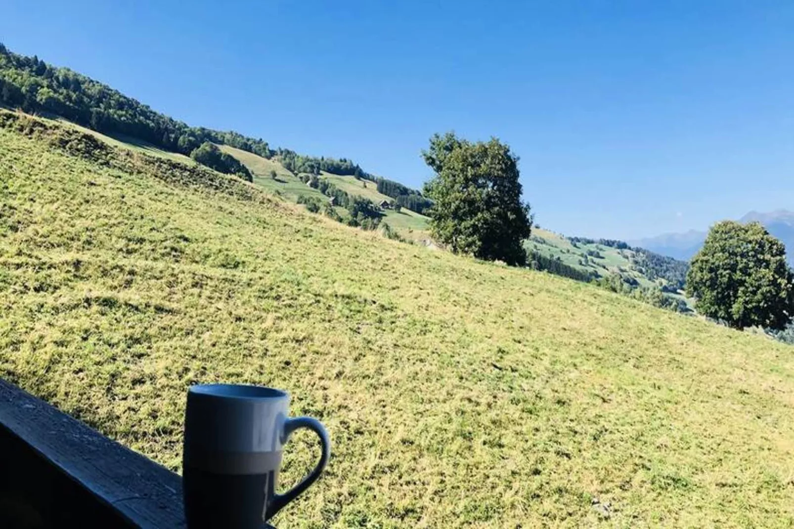 Résidence Camarine-View in summer