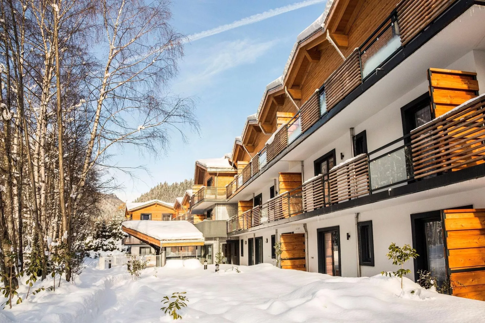 Isatis 1-Exterior winter