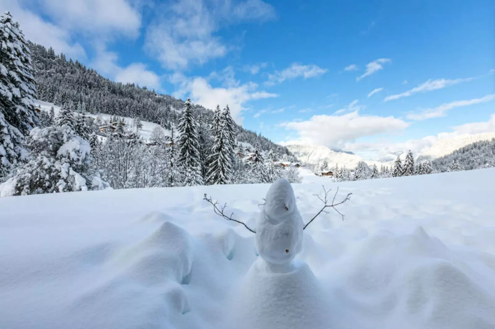 Résidence Le Bois Gentil-View in winter