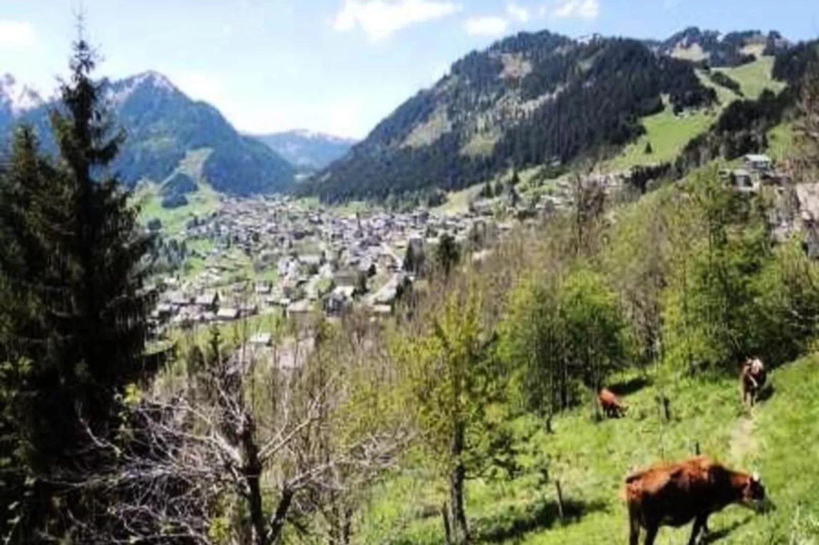 Chalets De Barbessine-View in summer