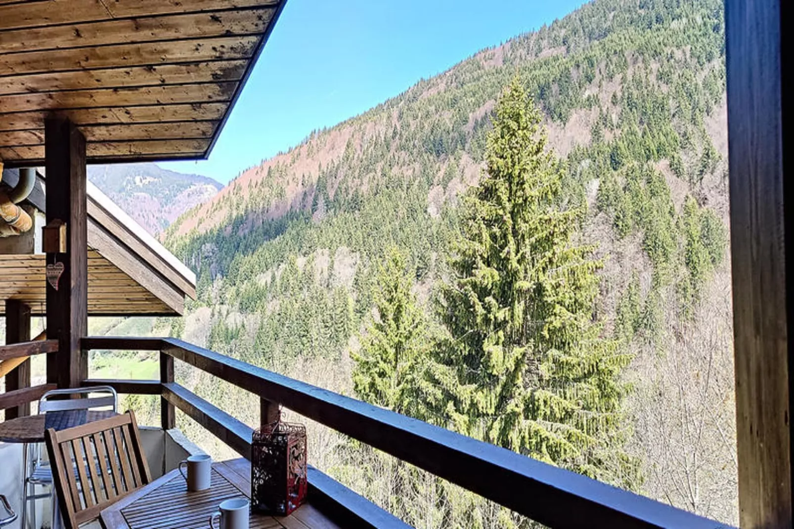 Appartements à Saint Jean d'Aulps-Terrace balcony