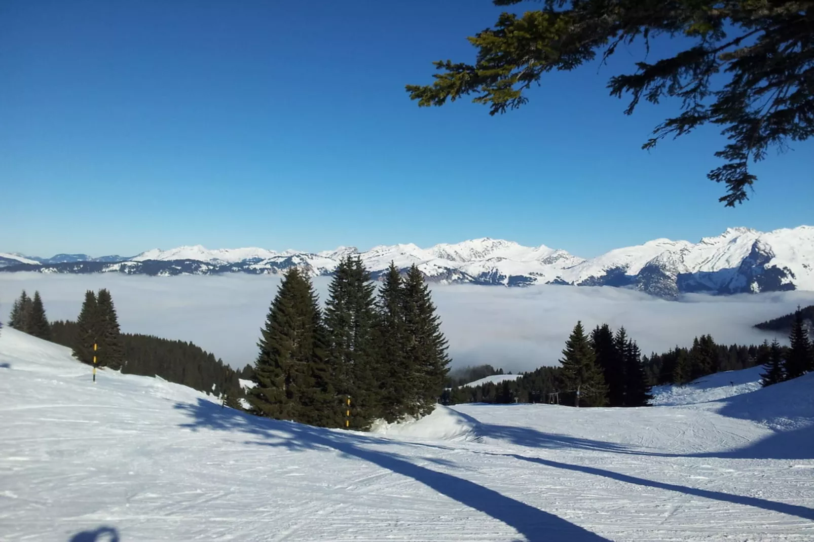 Résidence Criou Ii-Extérieur été