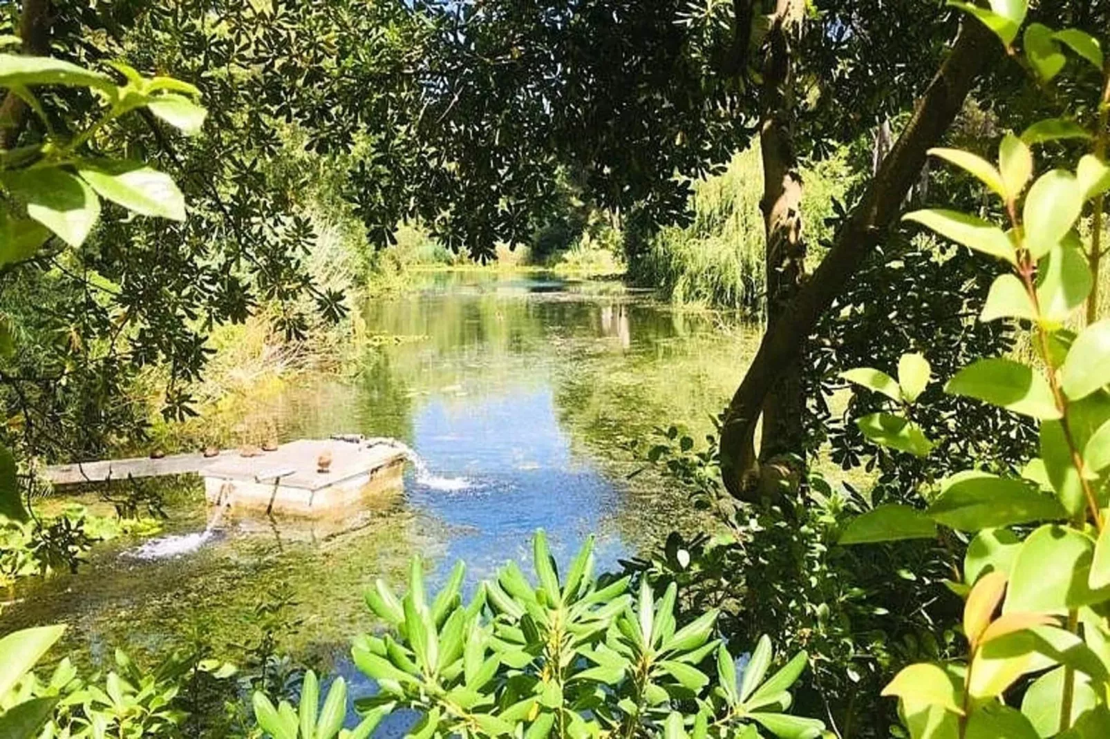 Résidence Cap Vert-Aussicht Sommer