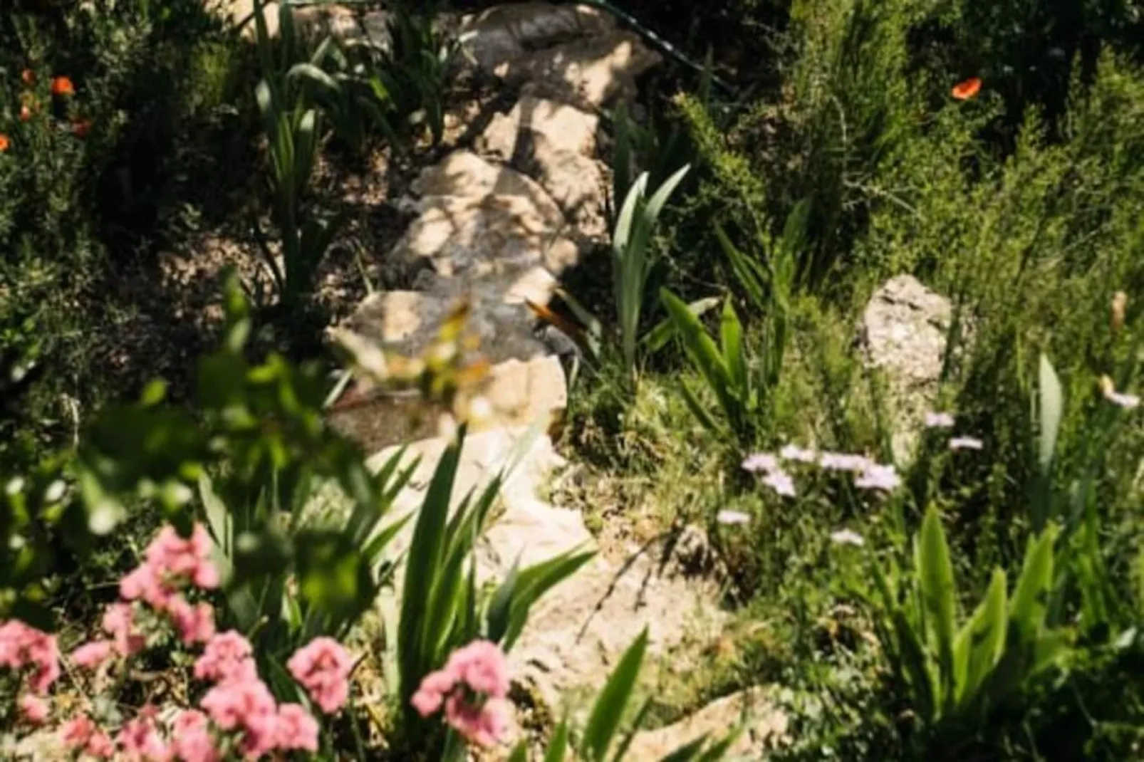 Perle Rare Avec Vues Panoramiques-Image-tags.