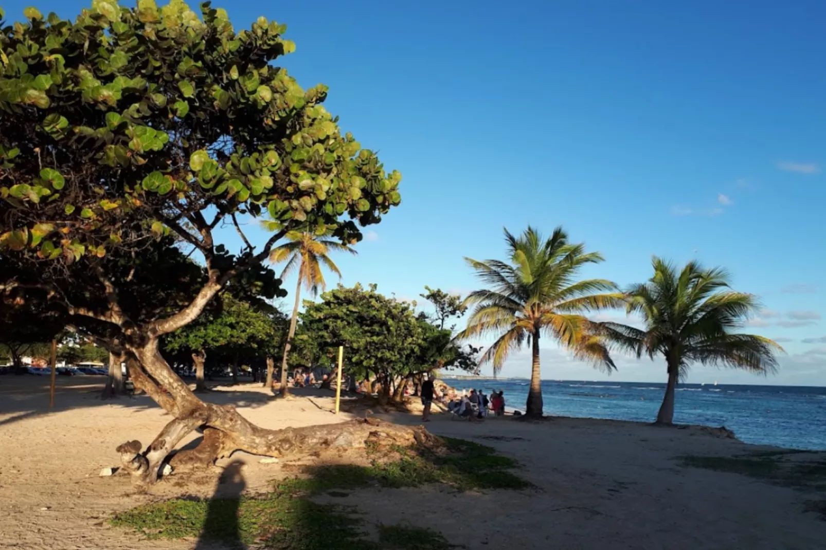 Bungalow Palm-Zones été à 5 km