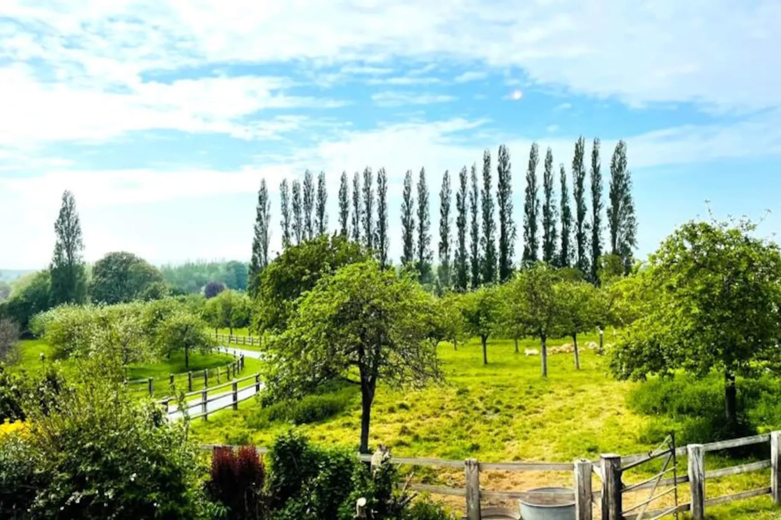 🍎 La Bergeronnette - Domaine D'apreval - Campagne-Image-tags.