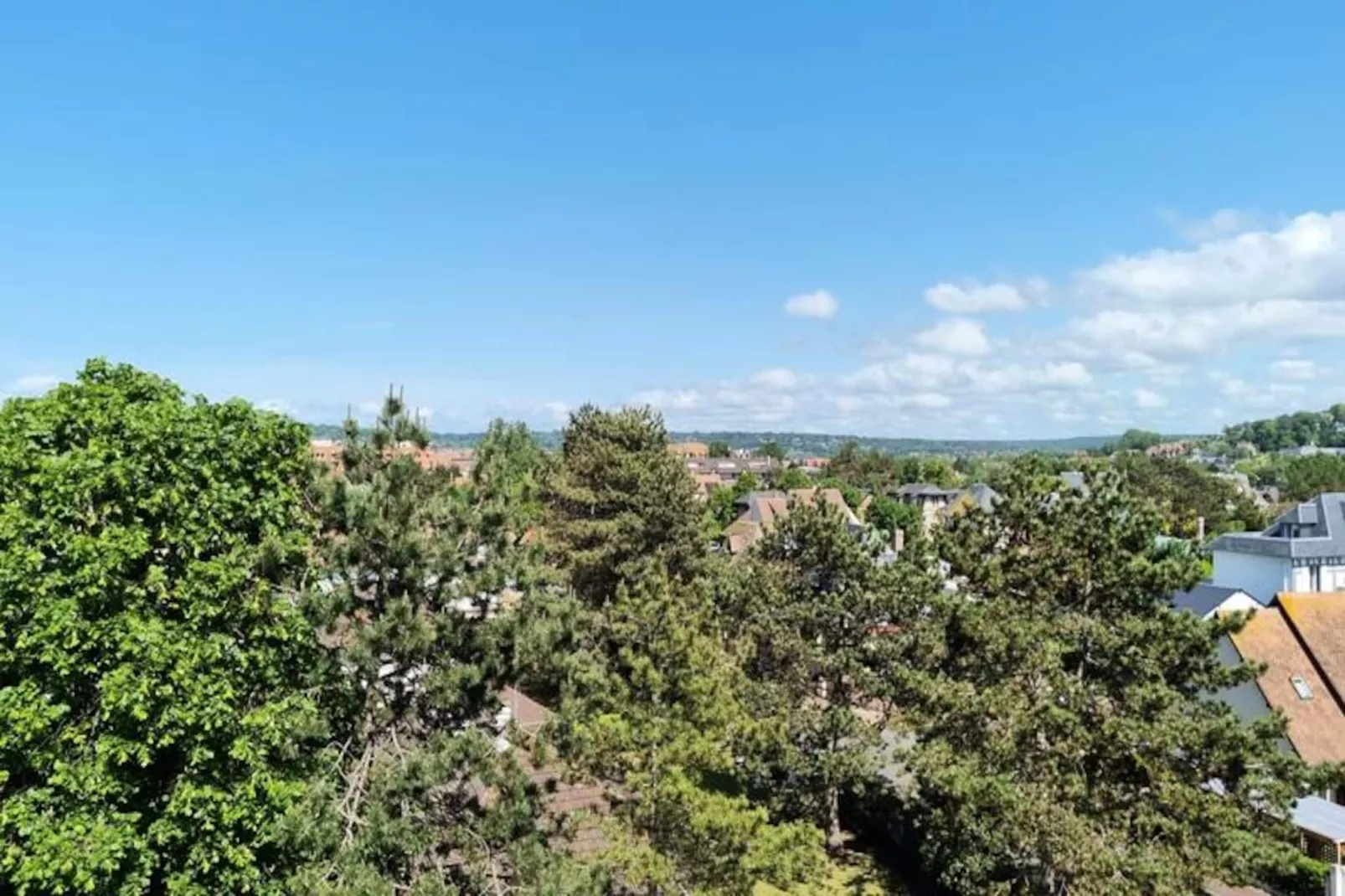 🌅  Le Petit Palais - 50m Plage - Vue Mer Et Campagne-Image-tags.