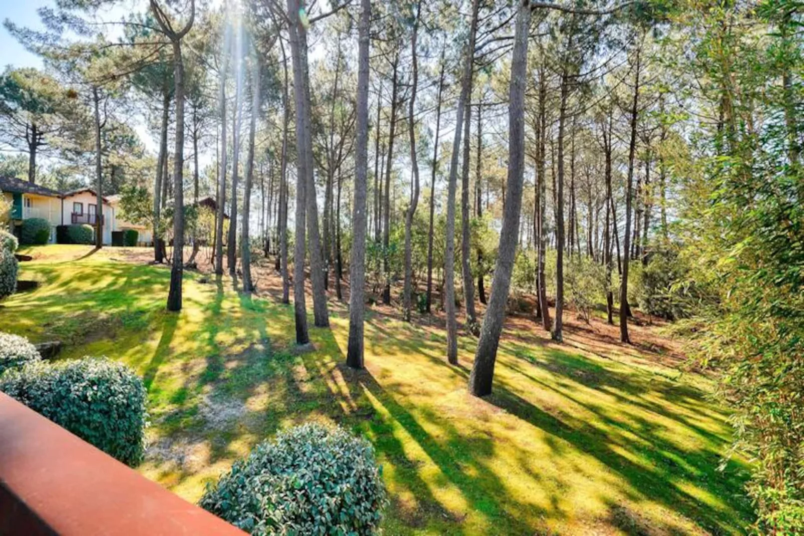 Les Maisons de Lacanau les Pins - maeva Home-Image-tags.