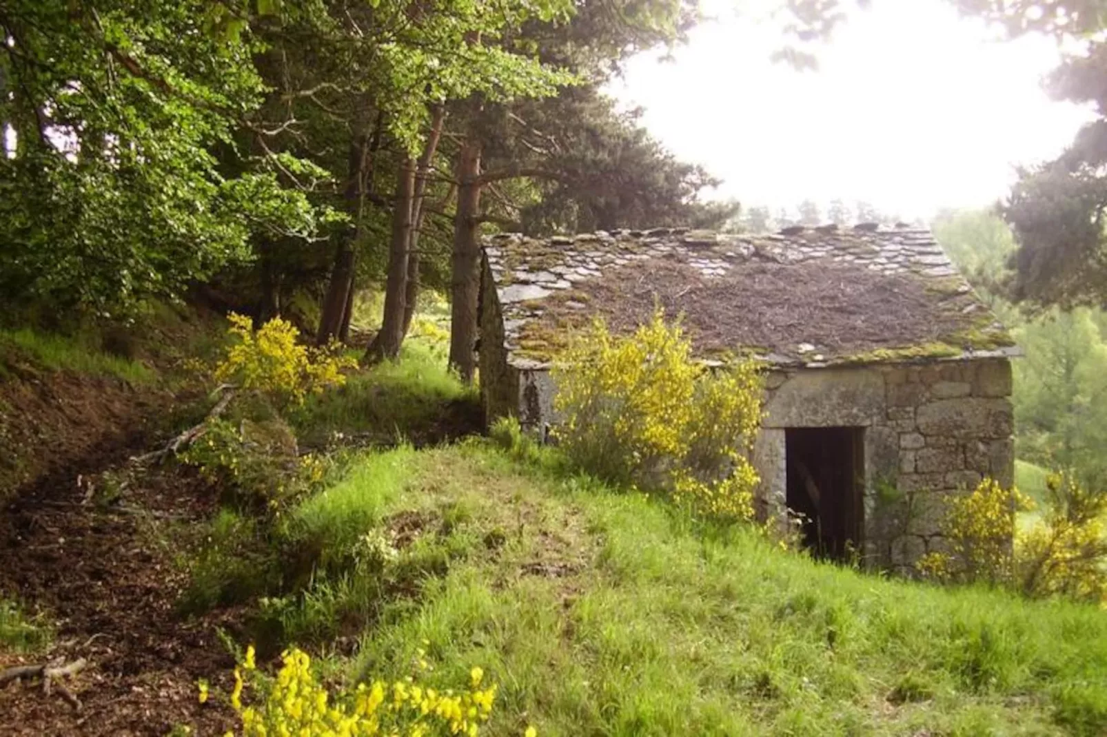 Gîte de France Gîte bienvenue à couffinet 3 épis-Image-tags.