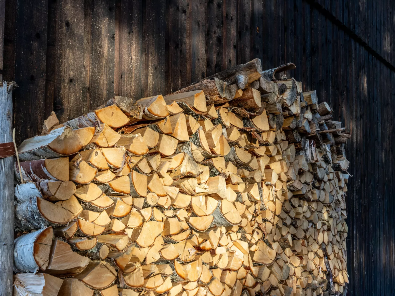 Fjällnästet-Drinnen