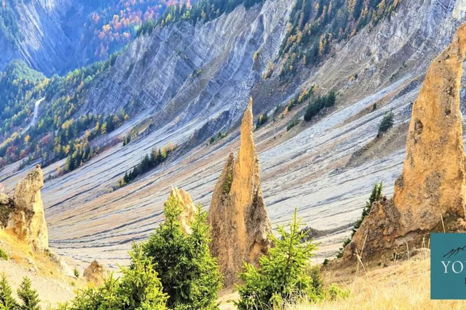 Résidence Les Grands Sauvages-Image-tags.