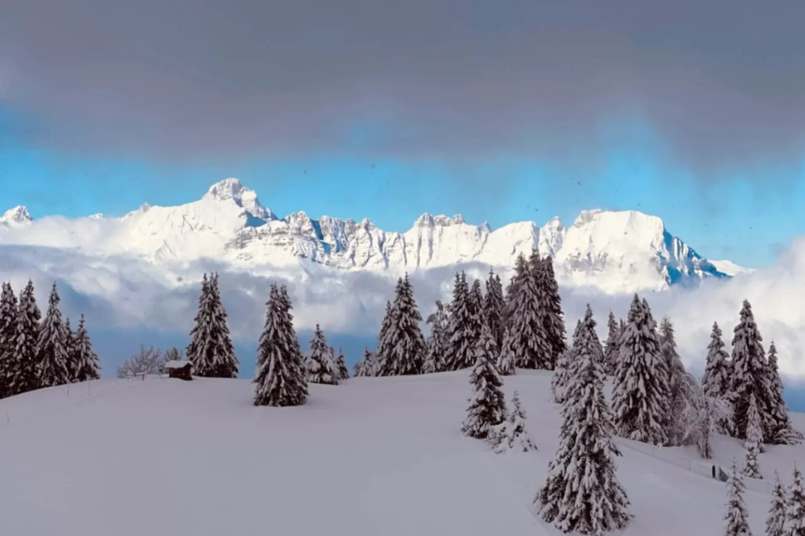 Résidence Les Aiguilles Rouges Bat B-Area within 5km in winter