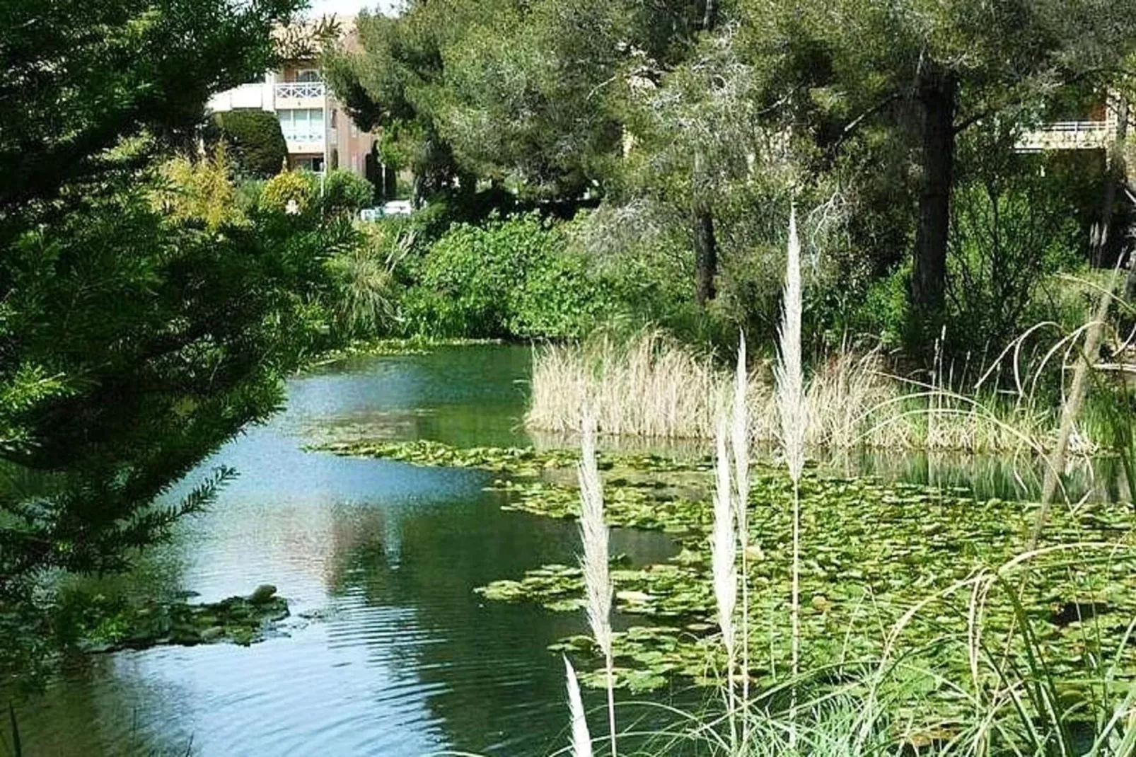 Résidence Verdon-View in summer
