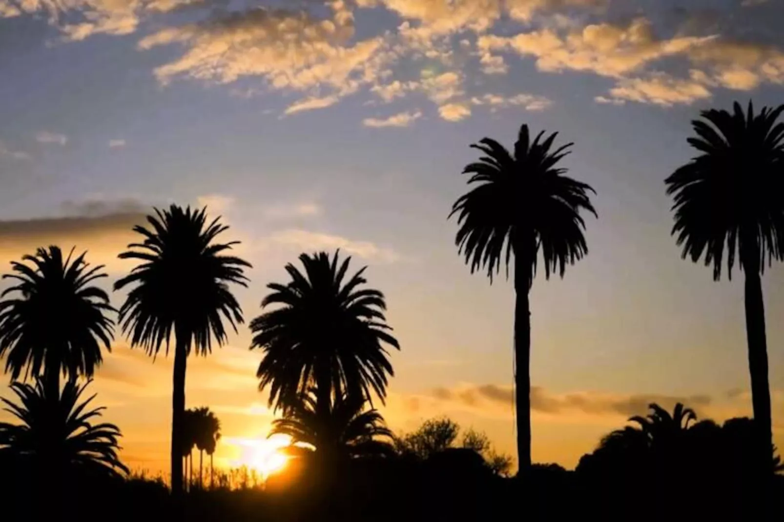 Résidence Le Palm -hyeres-Image-tags.