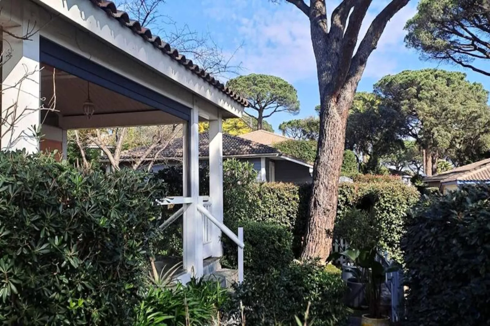 Résidence Parc Oasis-Image-tags.