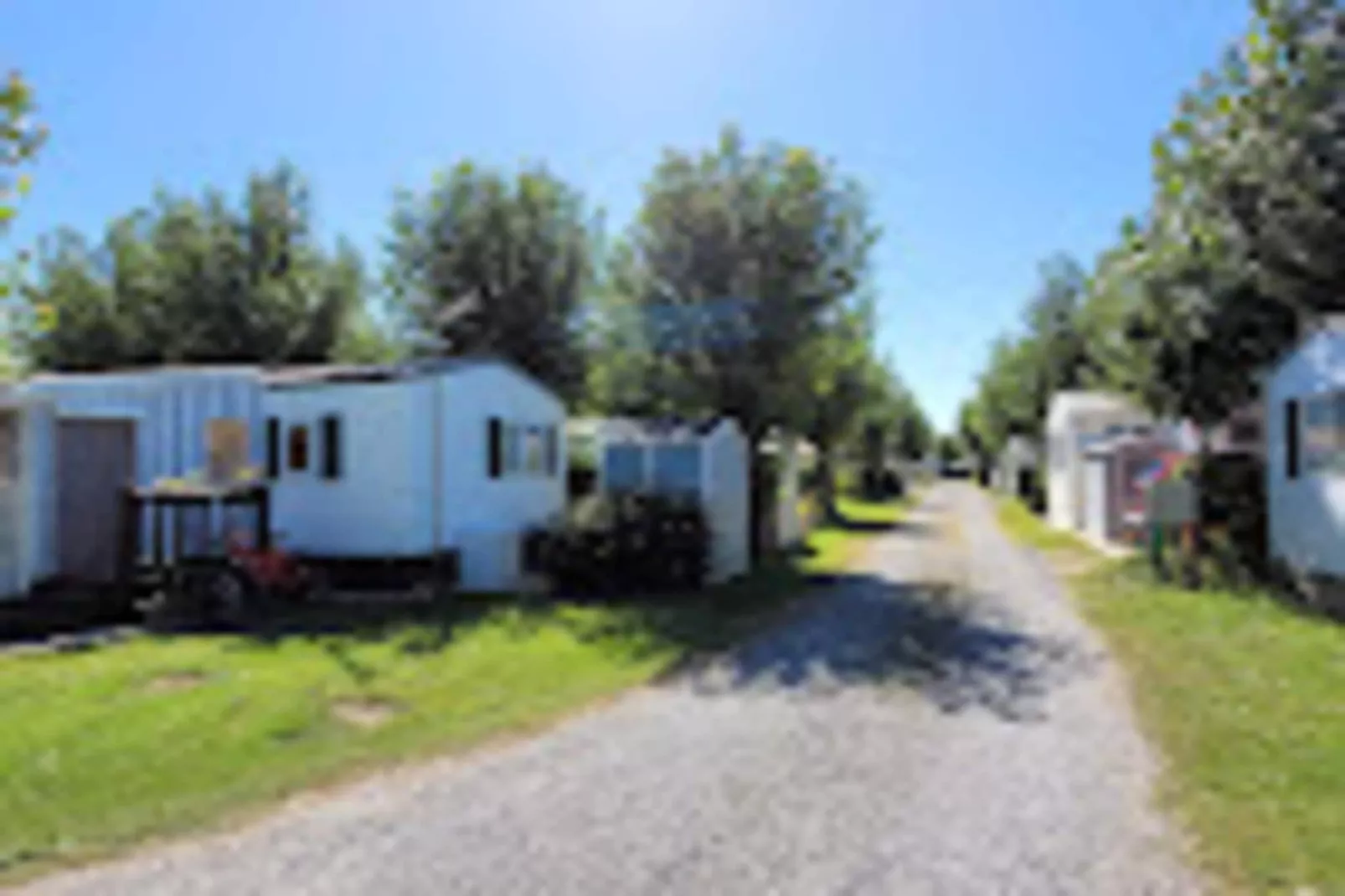 Villa Californie - Domaine Le Sherwood-Exterior in summer