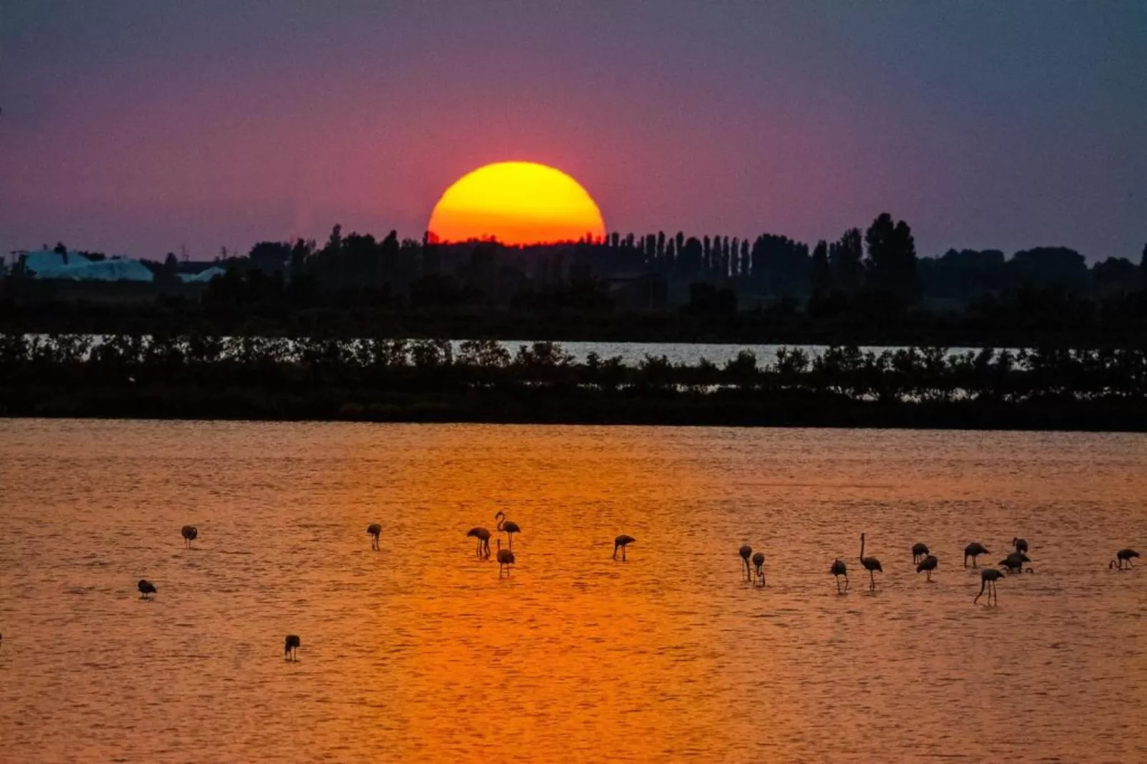 Villa Francesca-Areas within 5km in summer