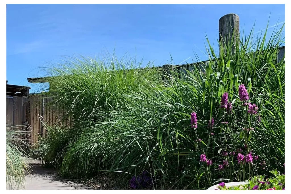 637765-Nicht zugeordnet