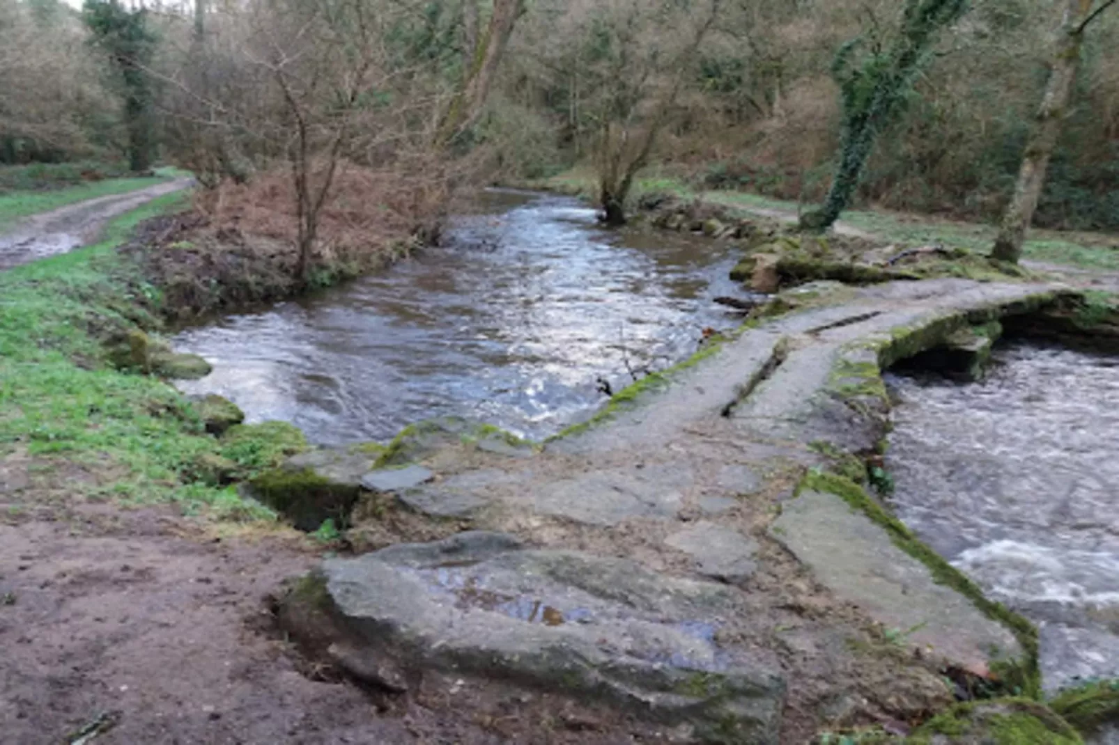 Résidence Les Goelands-Exterior in summer