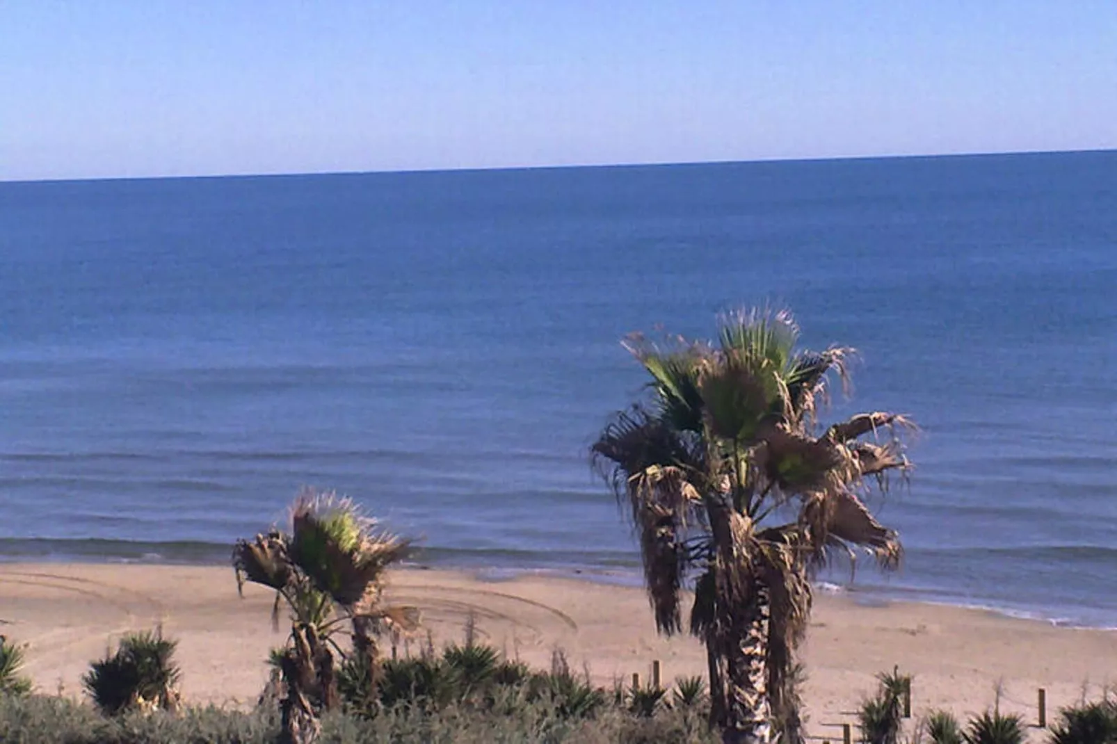 Résidence NATURISTE LA PALMERAIE-Areas within 1km in summer
