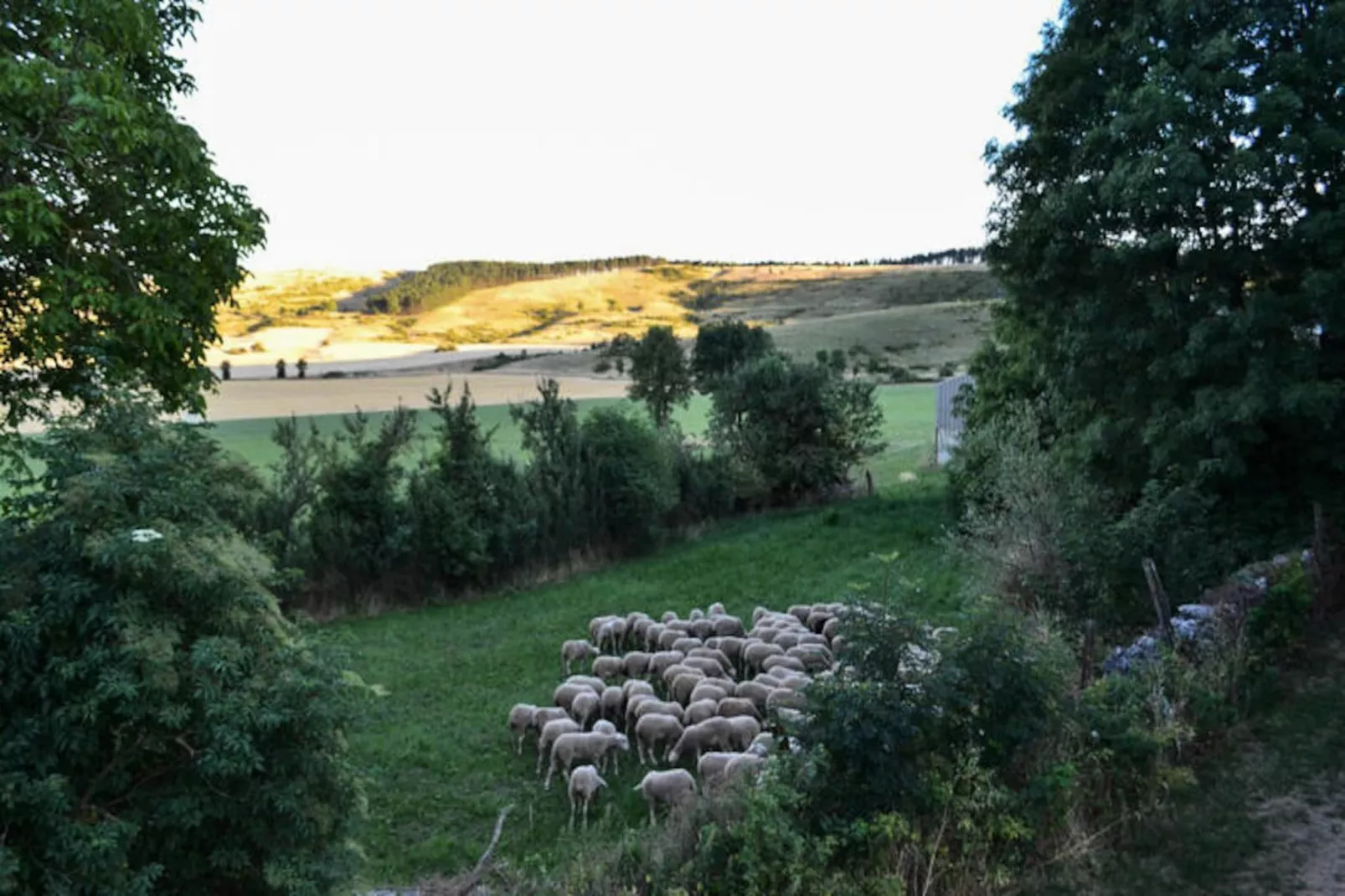 Gîte de France Gîtes de france 3 épis 5 personnes à mativet 3 épis-Image-tags.