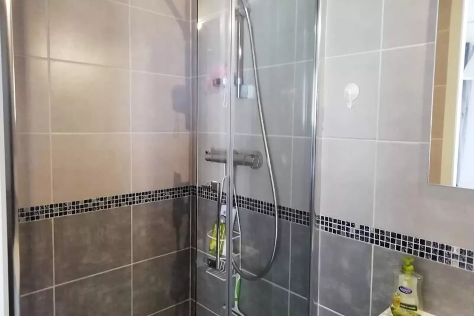 Résidence Le Chateau Durieux 1-Bathroom