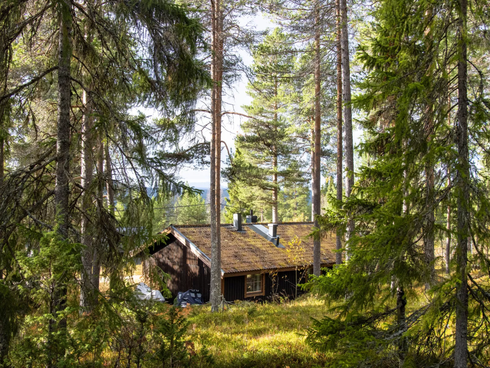 Fjällnästet-Draußen