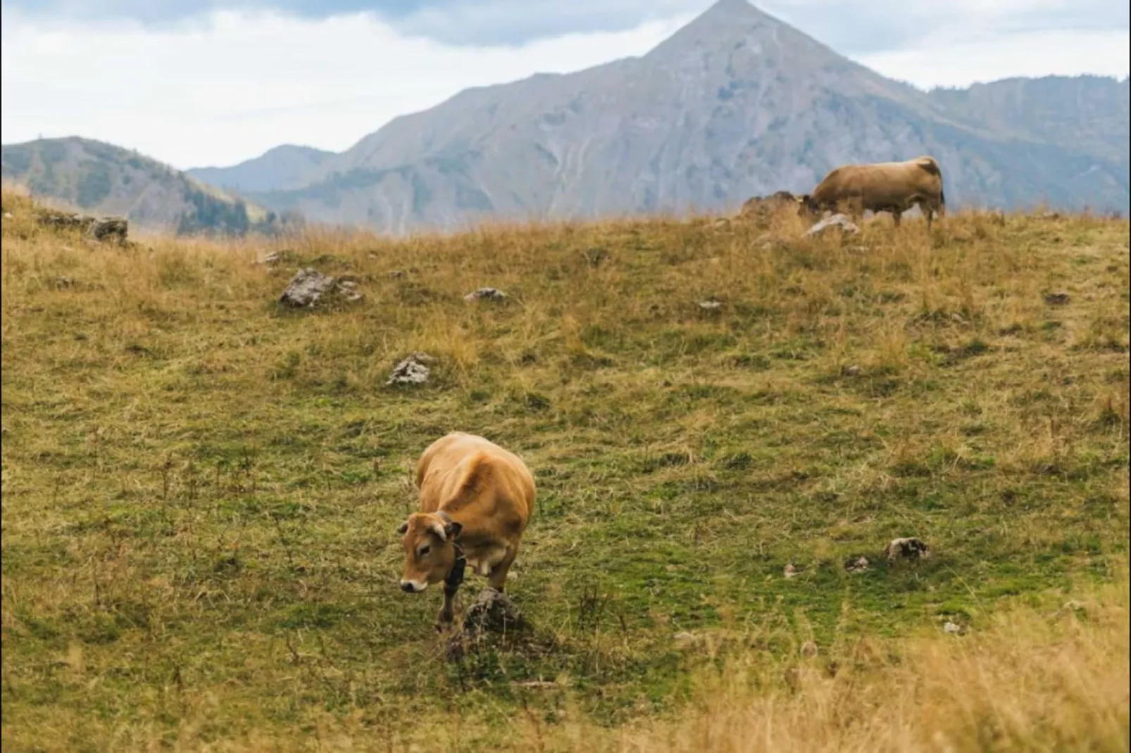 Residence La Corniche - Gebiete Sommer 5 km