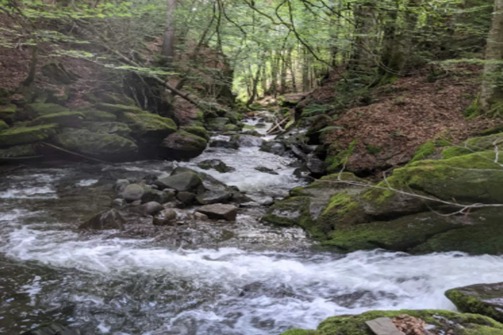 Appartements à La Clusaz-Gebiete Sommer 5 km