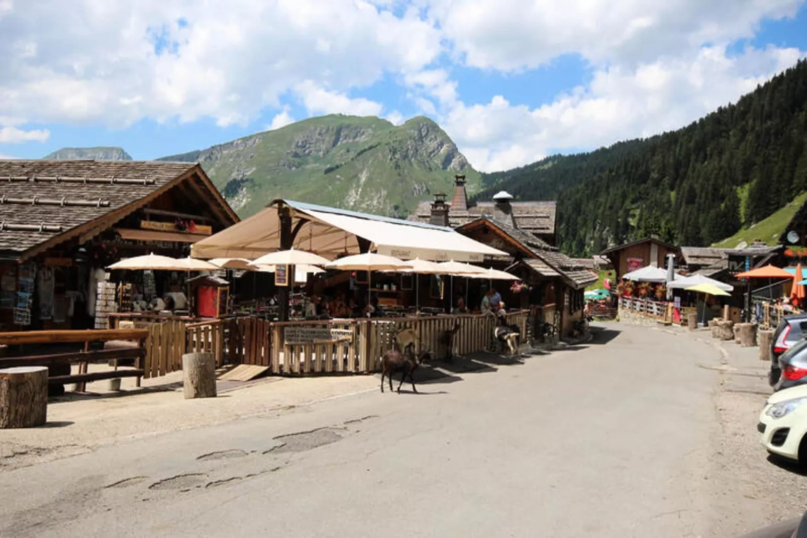 Appartements à Montriond-Gebiete Sommer 1 km