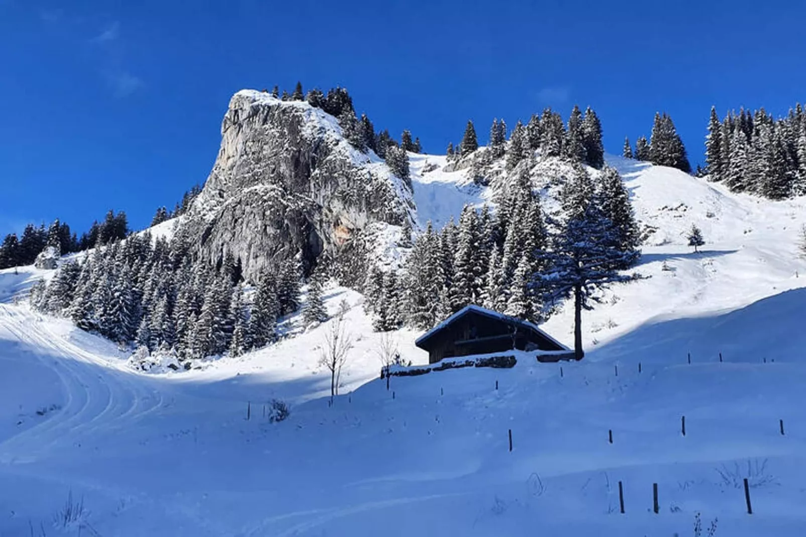 Appartements à Saint Jean d'Aulps-Zones hiver à 1 km