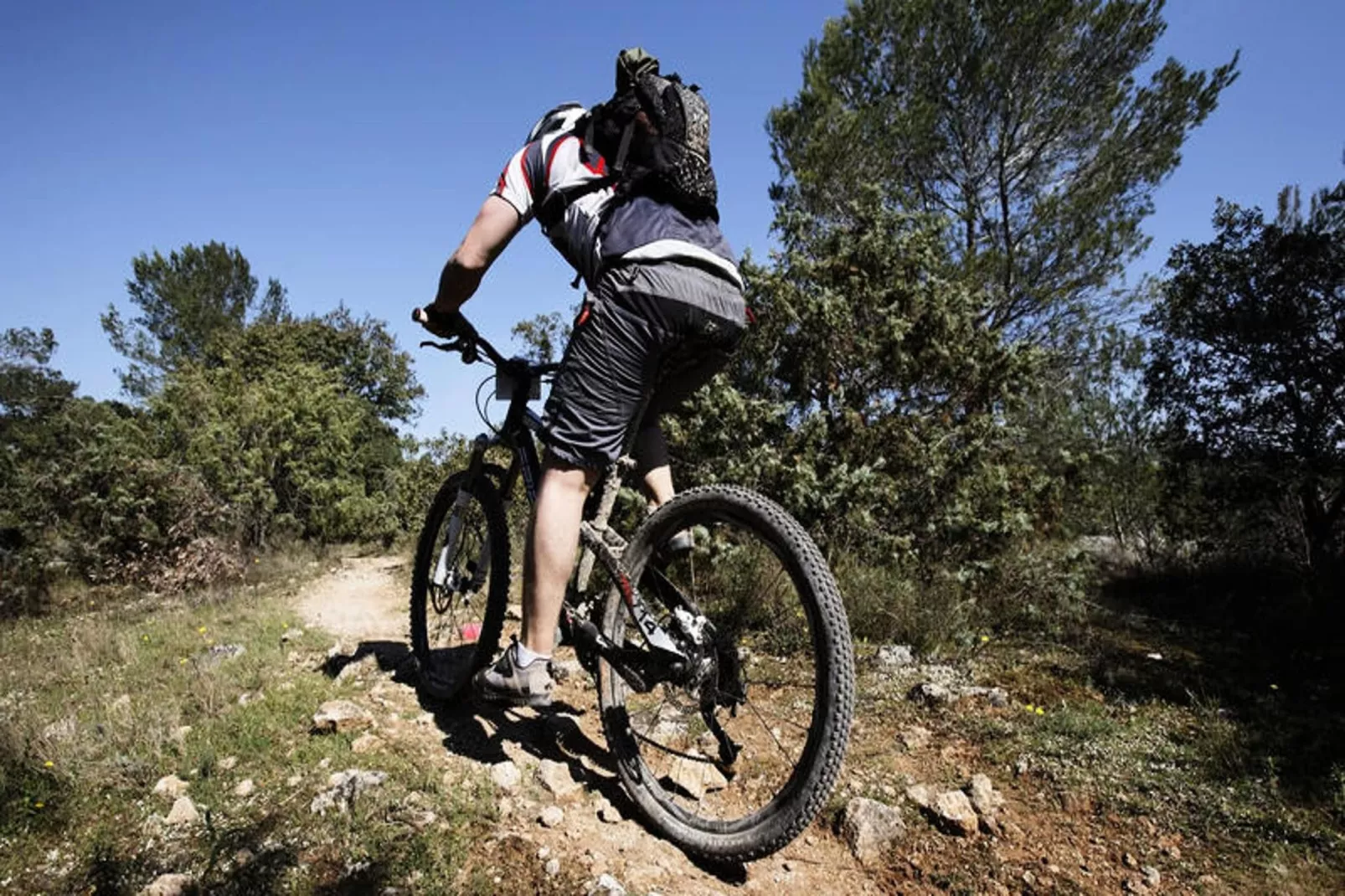 Appartements à Saint Jean d'Aulps-Gebiete Sommer 5 km