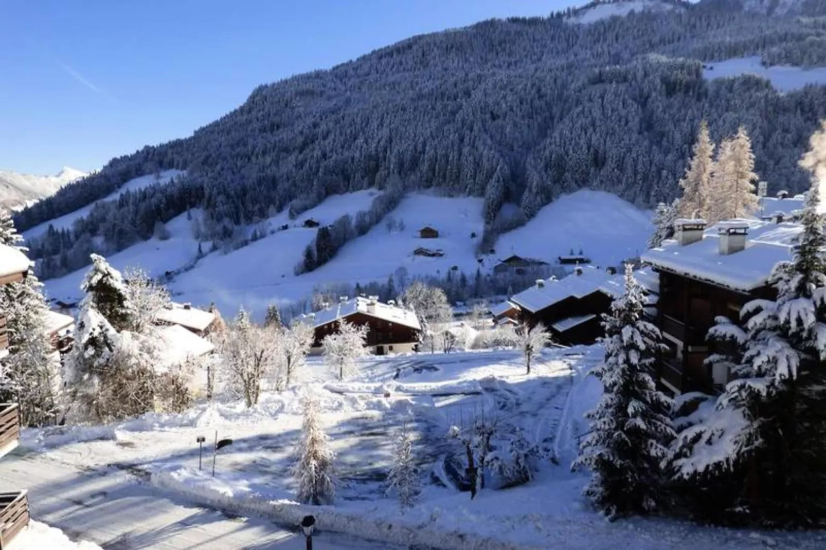 Résidence Millepertuis B-View in winter