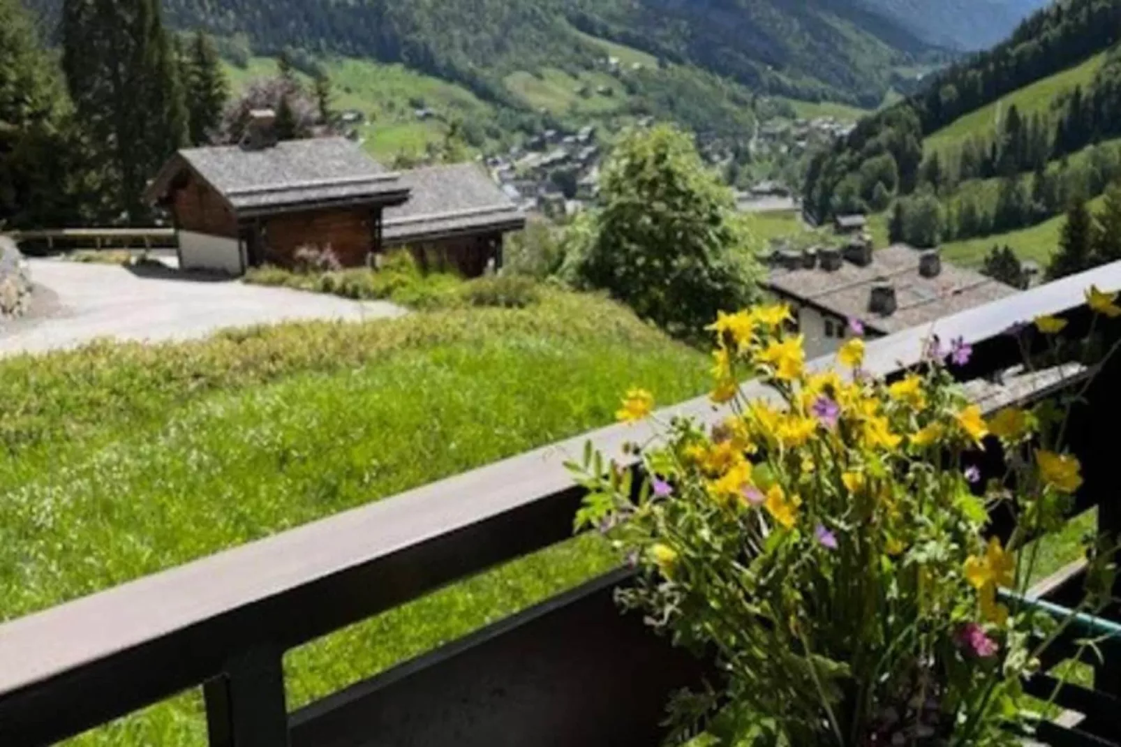 Résidence Millepertuis C-View in summer