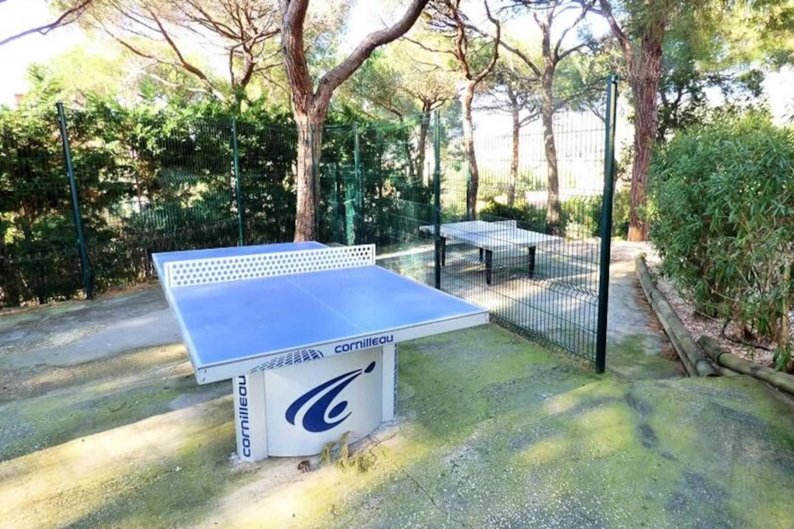 Résidence Lis Olivades-Image-tags.