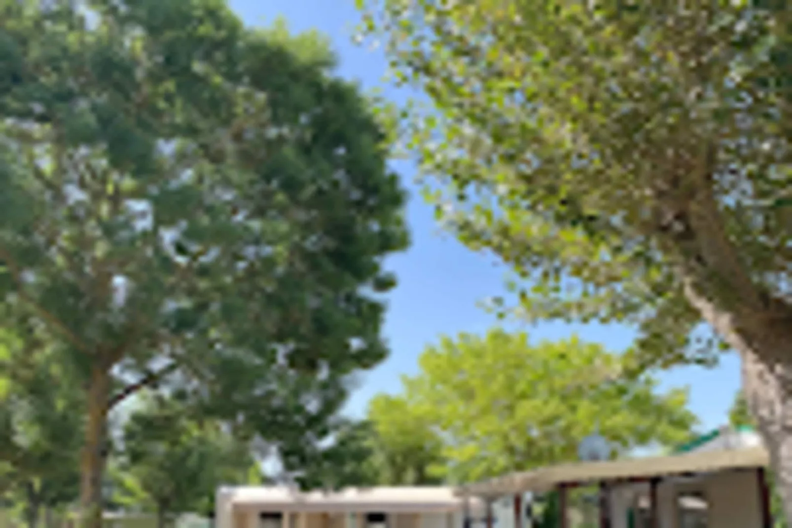 Villa Californie - Domaine Le Sherwood-Exterior in summer