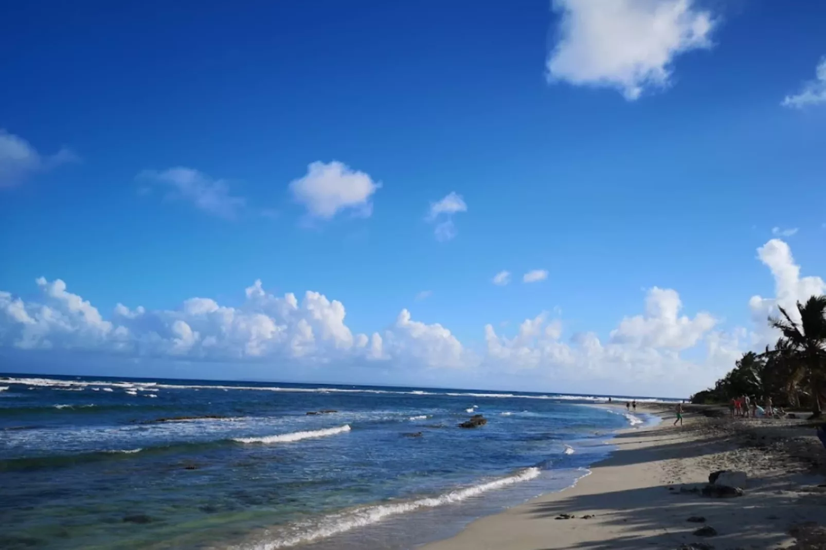 Bungalow Palm-Zones été à 5 km