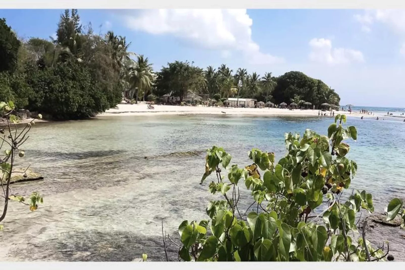 Appartement Coconut-Image-tags.